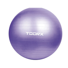 Фітбол Toorx Gym Ball 75 cm Purple (AHF-013)